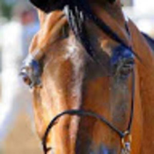 Meet your Posher, Cristy